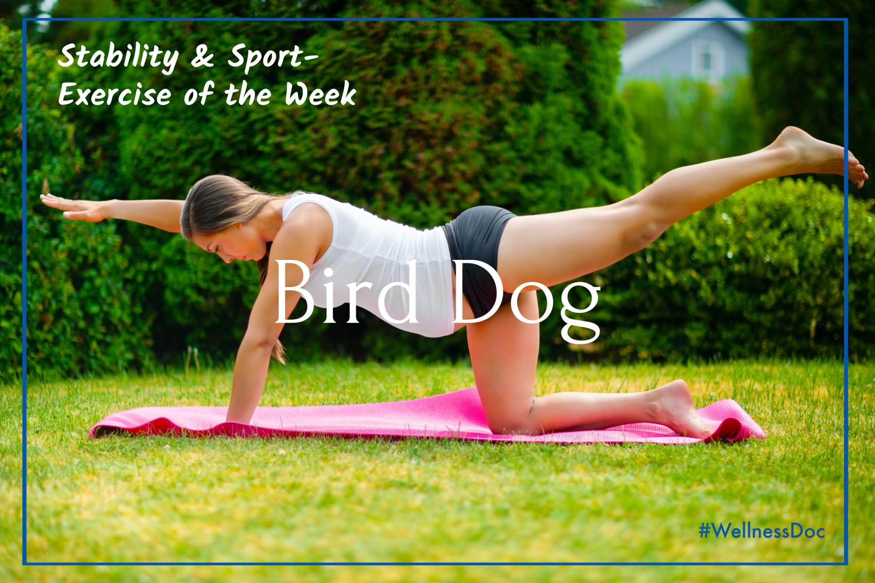 Blog Stability & Sport Exercise of the week 3 Bird Dog