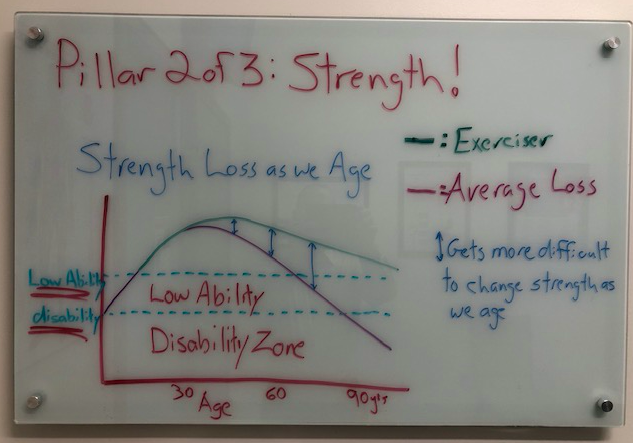 3 Pillars of Anti Aging Exercise: Strength Training | Summerside ...
