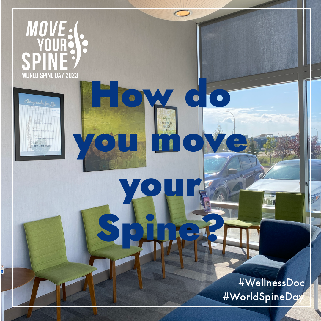 How do you Move you Spine?